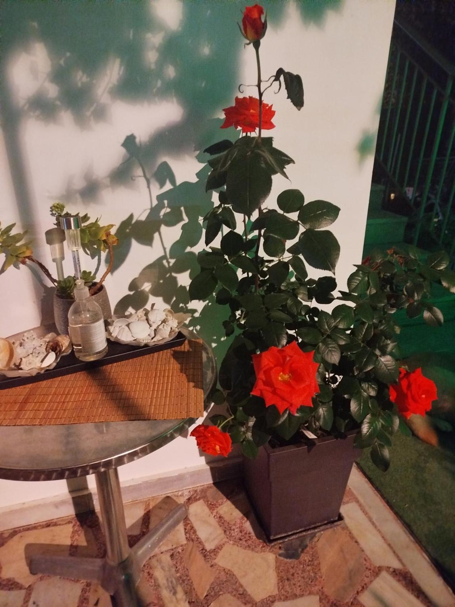 Alenstudios Paralía Екстериор снимка